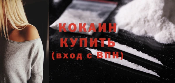 СК Зерноград