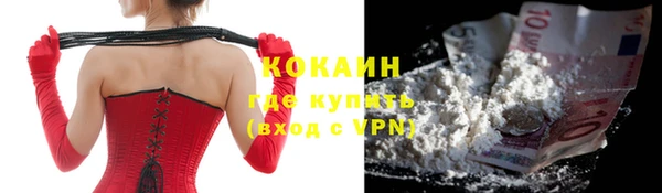 крисы Зеленокумск