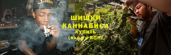 СК Зерноград